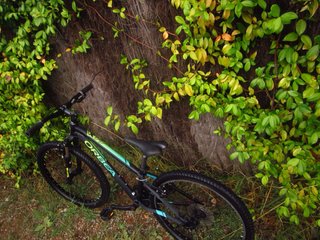 Bicicleta Infantil Orbea MX 24