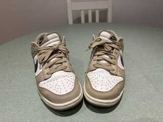 Nike Dunk Low Desert Khaki/Medium Ash