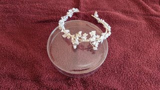 Tiara Comunión Flores Blancas