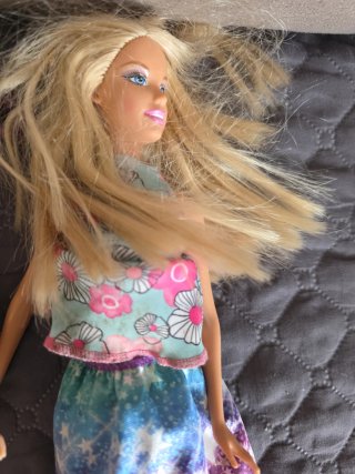 Confezione da 10 Barbie con e senza vestiti