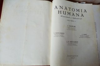 Lote de 3 Libros Medicina, envío impost