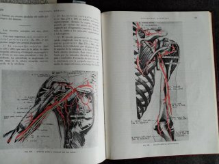 Lote de 3 Libros Medicina, envío impost