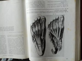 Lote de 3 Libros Medicina, envío impost