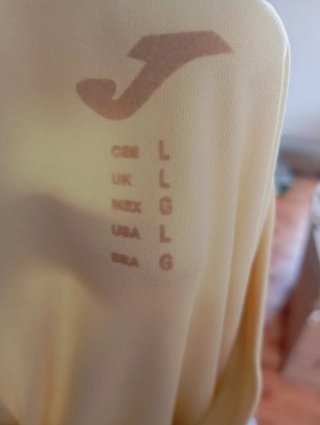 2Camiseta Joma Azul y otra