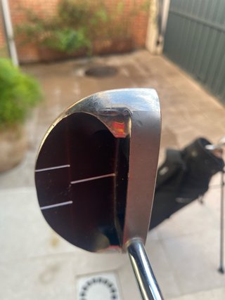 Palo de golf Inesis Pat