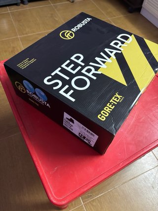 Botas de seguridad Robusta GORE-TEX T.42 (NUEVAS)