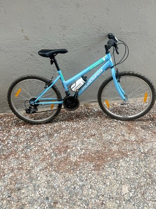 Bicicleta Muddyfox Synergy 24