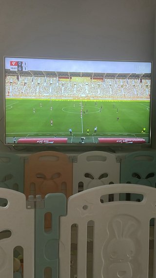 Televisión  Panasonic 55 pulgas,  4k smart tv.