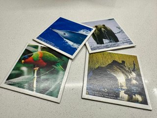 Memory Wildlife Ravensburger National Geographic