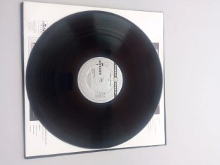 Vinilo 12 Tones on Tail - Pop