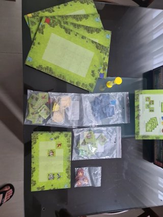 Juego de mesa Brains Family Castillos y Dragones
