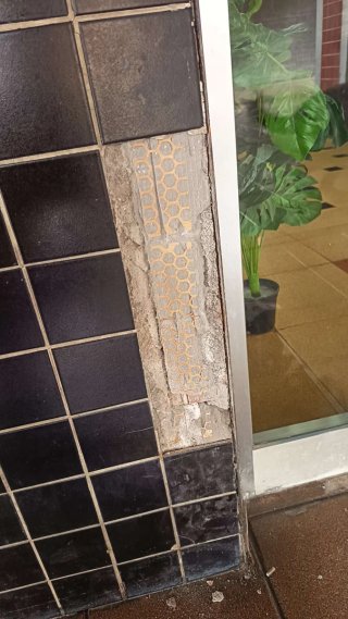 Albañil profesional autónomo