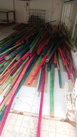 100 Cañas de bambú decorativas (varios colores) 4