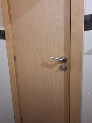 Puerta interior baño/aseo
