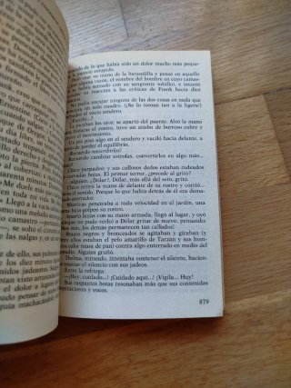 Dhalgren libro ( trilogía)