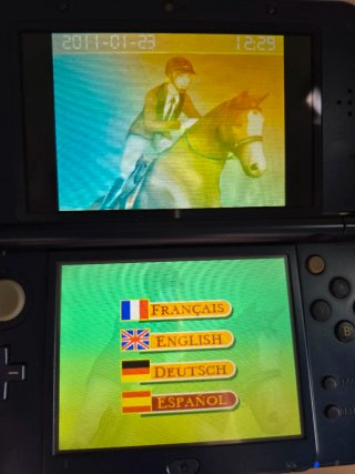 Lotto x6 Juegos Nintendo DS para niñas
