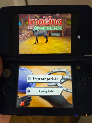 Lotto x6 Juegos Nintendo DS para niñas