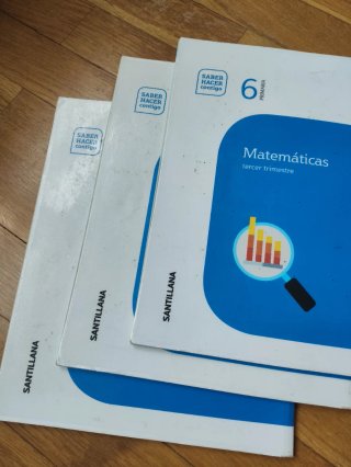 Matemáticas, 6 Primaria Saber Hacer Contigo