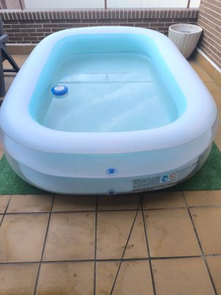 Limpia fondos a batería Intex ZR 200 y piscina
