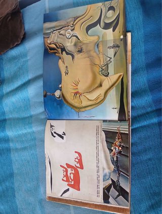 Libro DALÍ edición de lujo de DRAEGER 1968