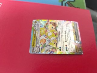 Cartas Pokemon