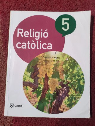 Religió catòlica, 5 Educació Primària