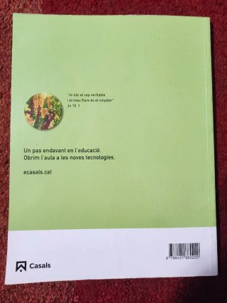 Religió catòlica, 5 Educació Primària