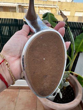 Sandalias ante tiras tachuelas marrón y plata
