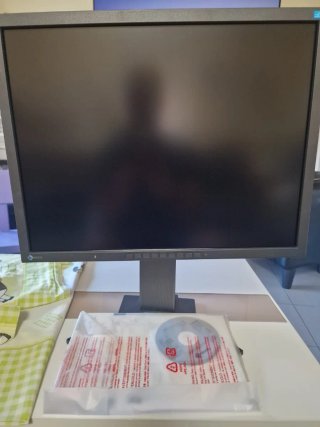EIZO Flexscan S2133 Negro 4:3 Monitor