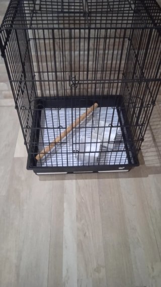 Jaula grande para pájaros