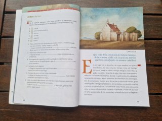 Don Quijote de la Mancha. Con CD Audio