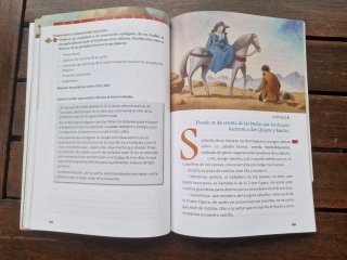 Don Quijote de la Mancha. Con CD Audio