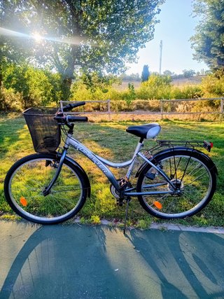 Bicicleta Romester Urbana Paseo