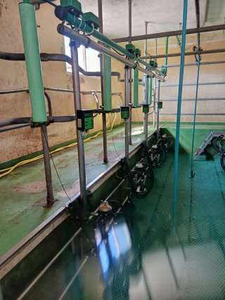 Sala de ordeño completa de 8 puntos.