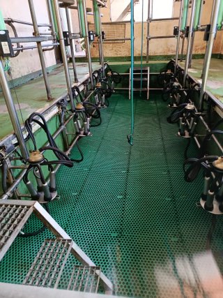 Sala de ordeño completa de 8 puntos.