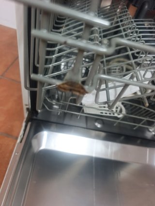 Lavavajillas Aspes ALO14