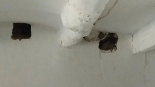 SE HACEN OBRAS Y REFORMAS