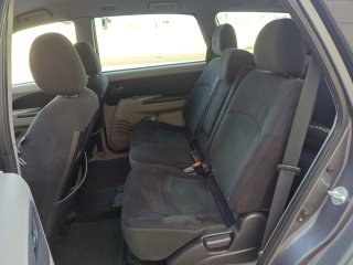 Mitsubishi Grandis 2009