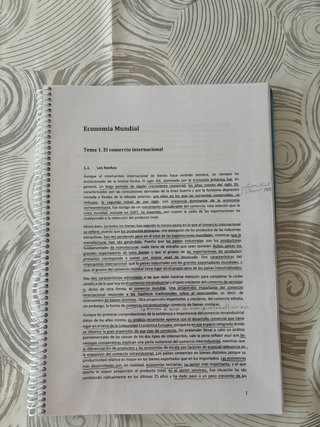 Resumen Economía Mundial UNED