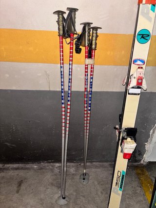 2 Pares de Esquís Rossignol y Dakar
