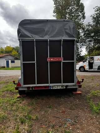 Remolque para caballos
