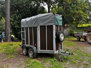 Remolque para caballos