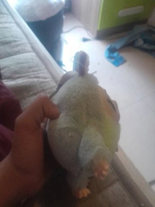 Peluche Aguacate