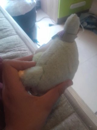 Peluche Aguacate