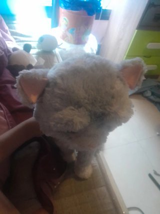Gato de peluche con pilas