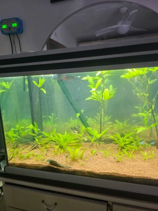 Pecera de 200 litros completa de cristal y plástic