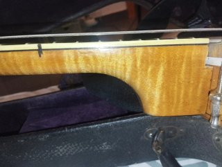 Banjo Tenor Vintage