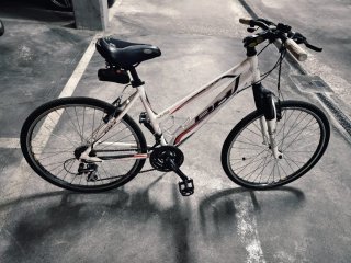 Bicicleta BH LWD Silvene