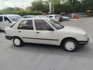 Peugeot 309 1991