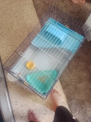 Jaula para cobaya o conejo